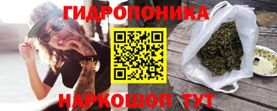 МДПВ Гатчина