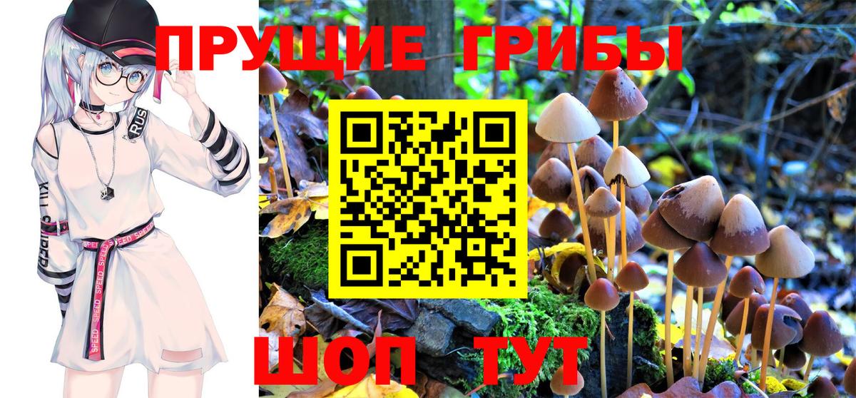 Псилоцибиновые грибы Magic Shrooms Нижнекамск