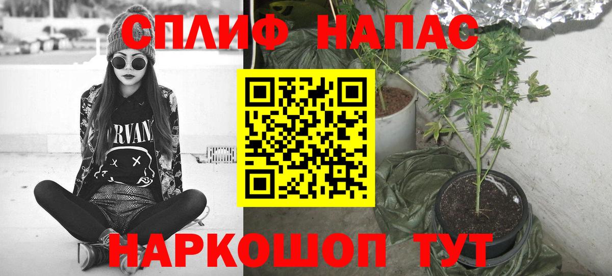 Бошки Шишки Нижнекамск